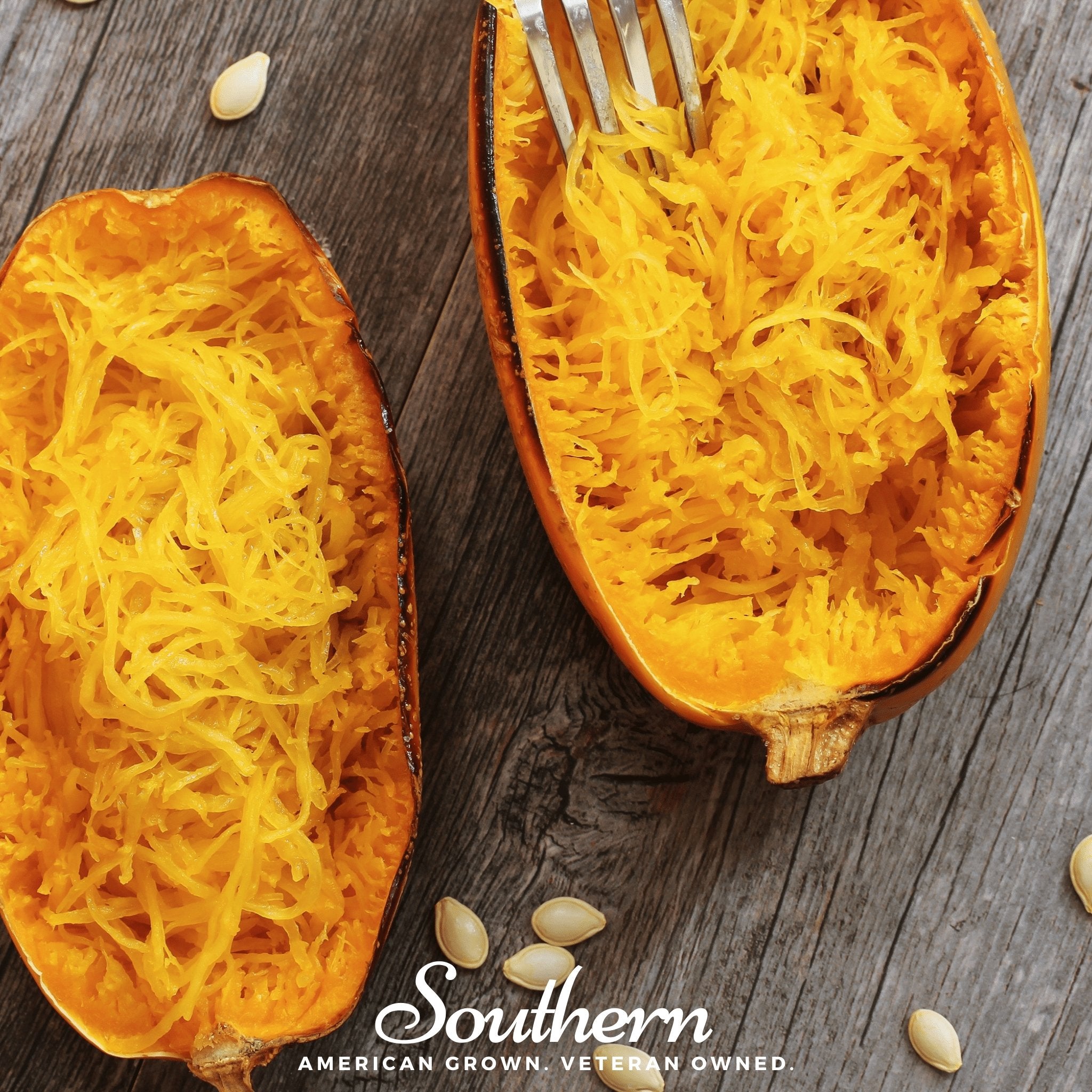 Squash, Winter, Vegetable Spaghetti (Cucurbita pepo) - 20 Seeds seed packet from Seed Therapy – American - grown, heirloom seeds