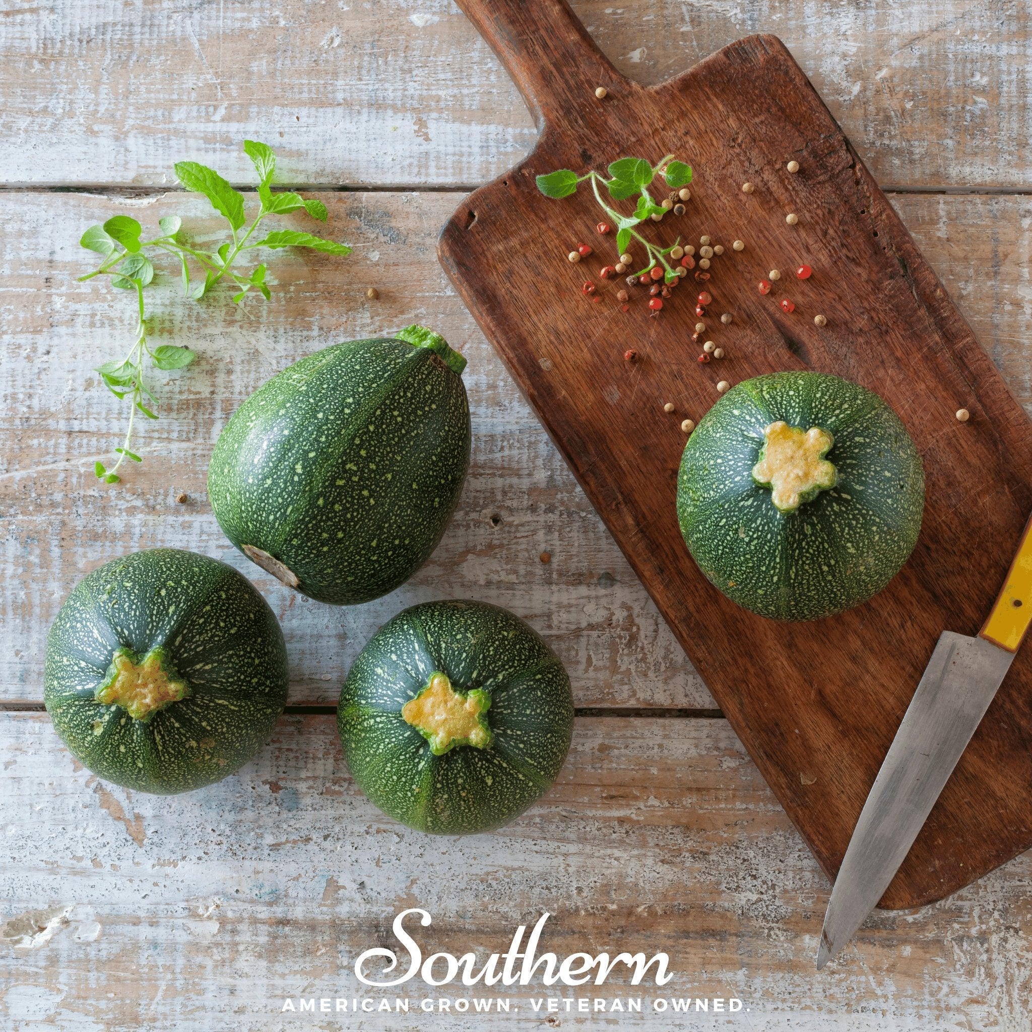 Squash, Zucchini, Round - Summer (Cucurbita pepo) - 25 seeds seed packet from Seed Therapy – American - grown, heirloom seeds