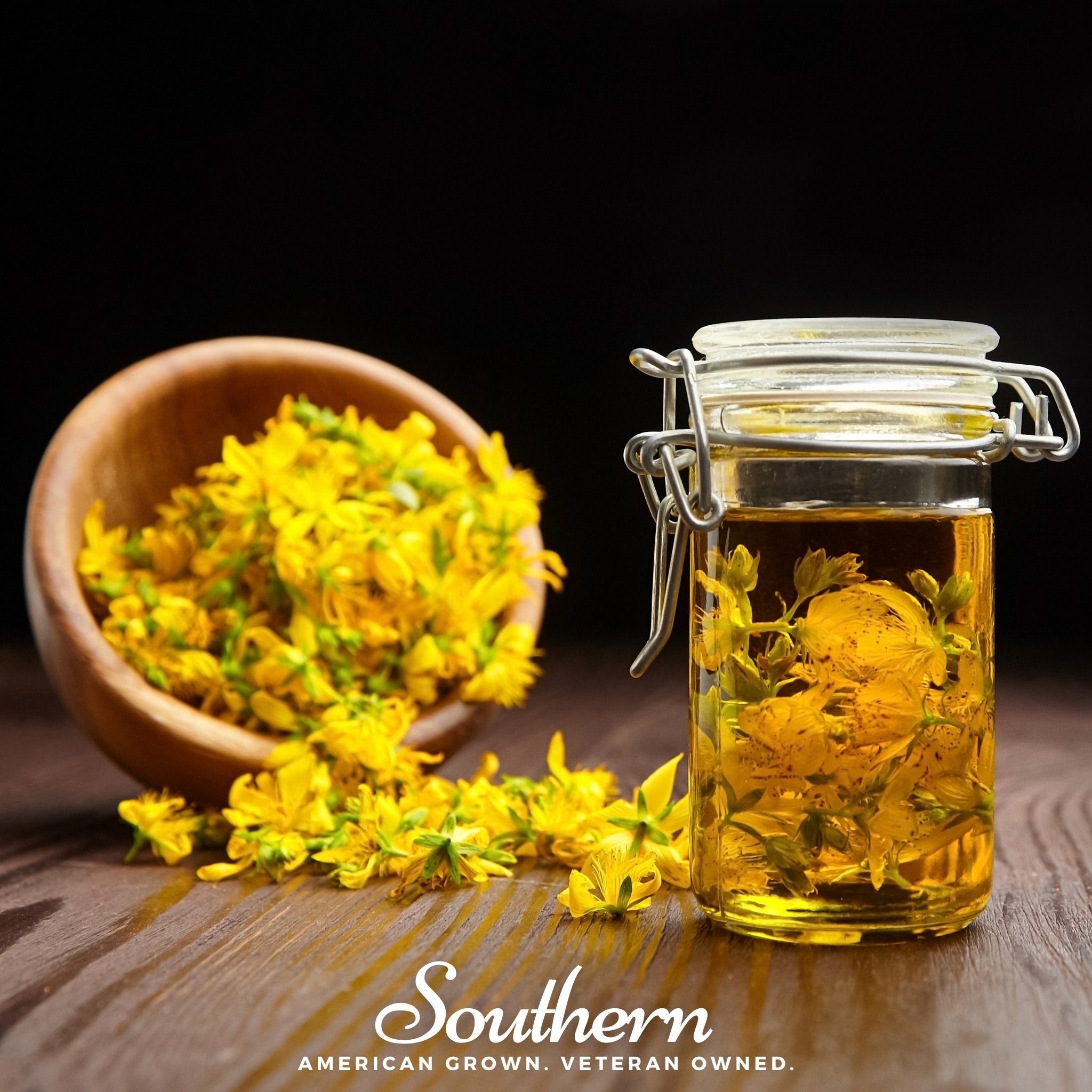 St John’s Wort, DOTTED (Hypericum punctatum) - 100 Seeds seed packet from Seed Therapy – American - grown, heirloom seeds