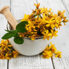 St John’s Wort (Hypericum perforatum) - 100 Seeds seed packet from Seed Therapy – American - grown, heirloom seeds