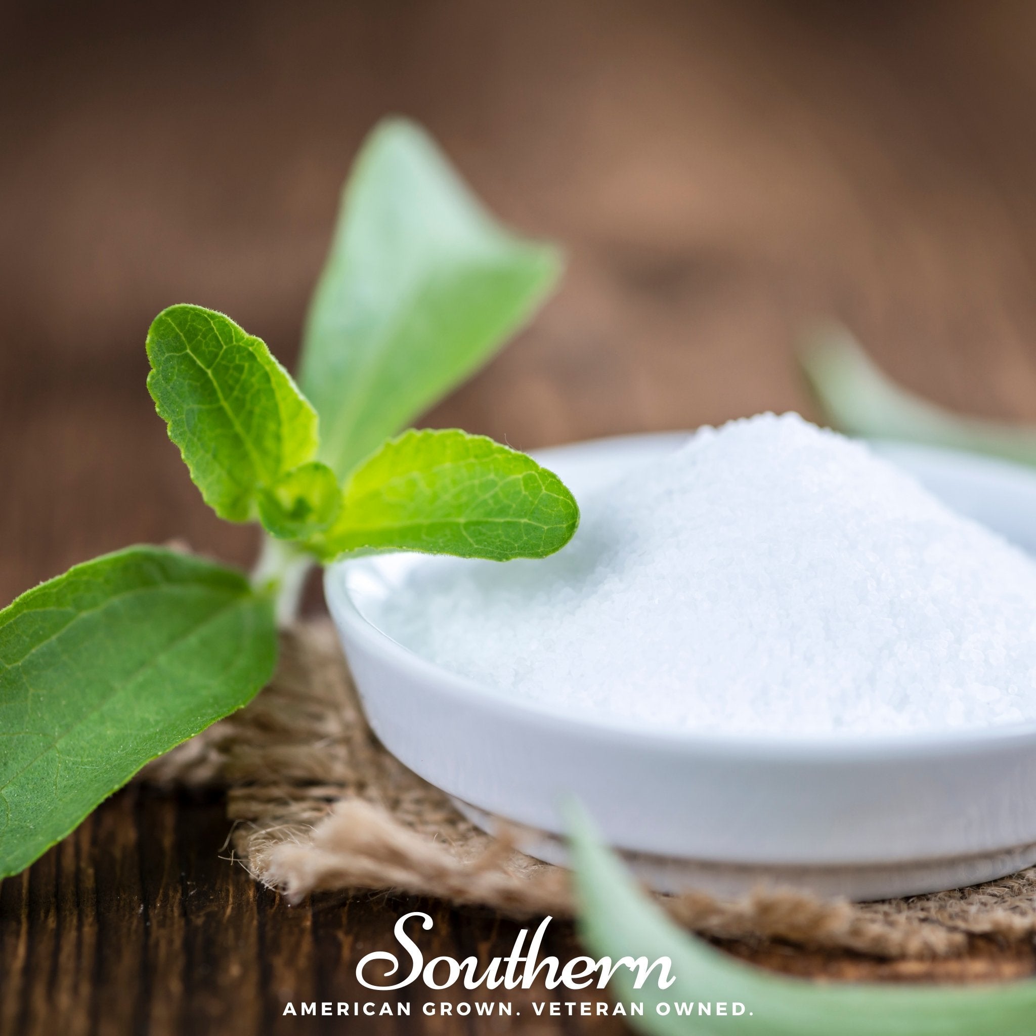 Stevia (Stevia rebaudiana) - 50 Seeds seed packet from Seed Therapy – American - grown, heirloom seeds