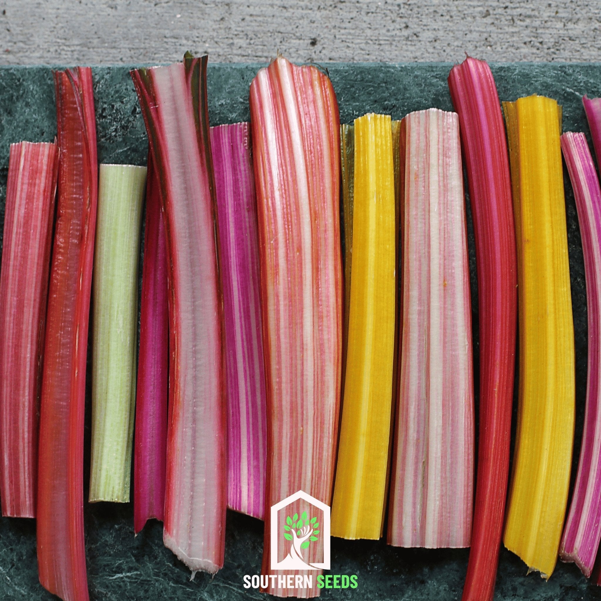 Swiss Chard, Rainbow (Beta vulgaris) - 150 Seeds seed packet from Seed Therapy – American - grown, heirloom seeds
