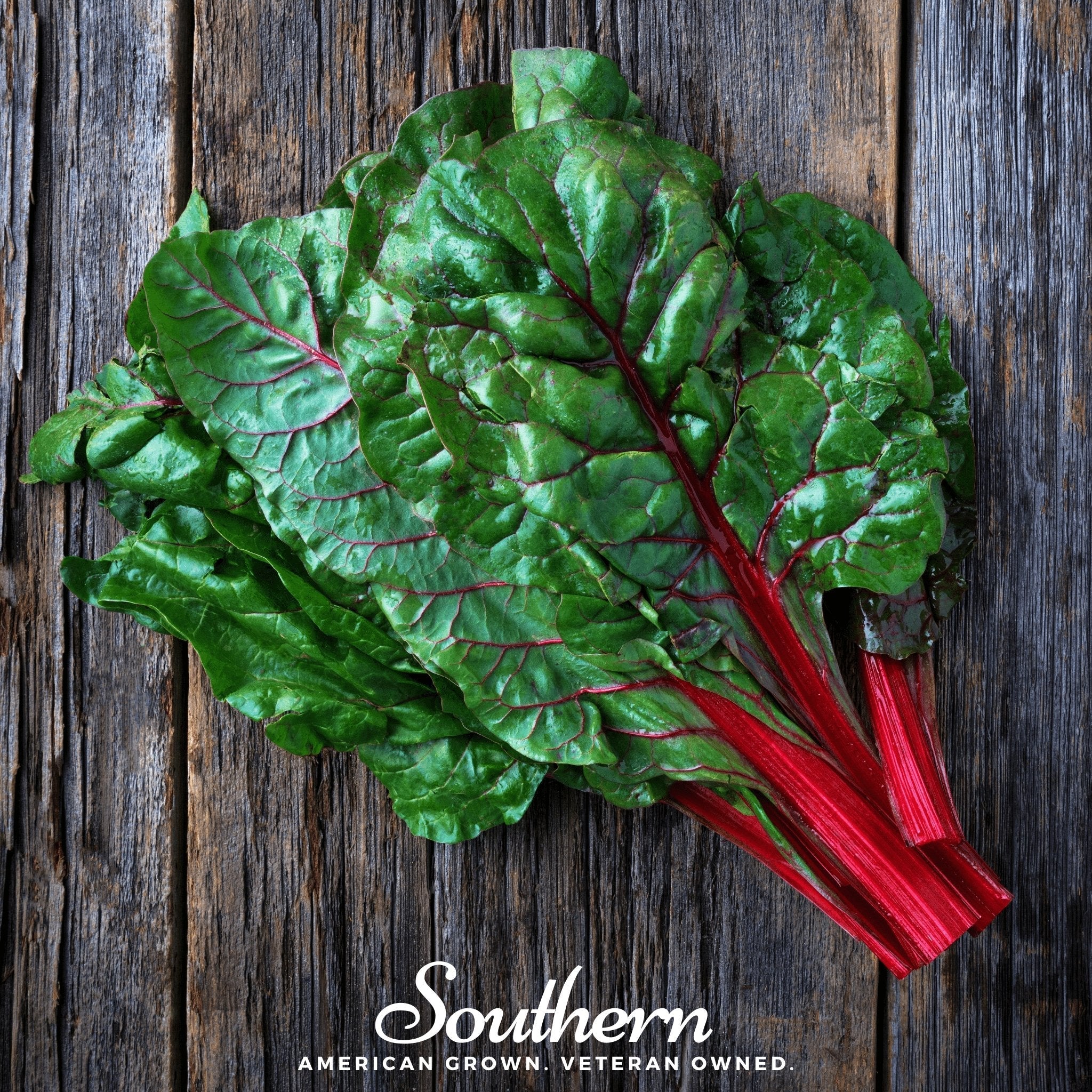 Swiss Chard, Ruby Red (Beta vulgaris subsp. circla) - 100 Seeds seed packet from Seed Therapy – American - grown, heirloom seeds