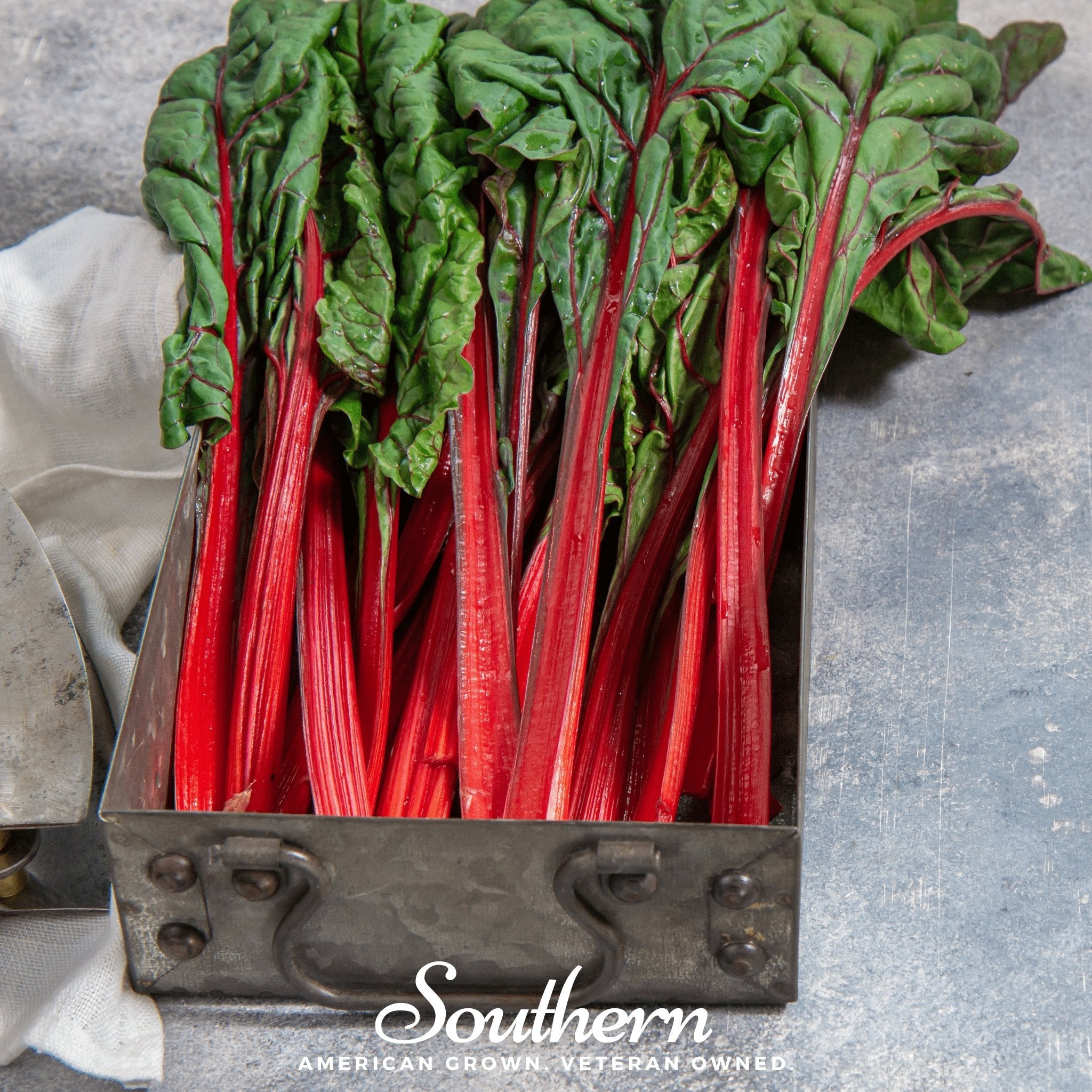 Swiss Chard, Ruby Red (Beta vulgaris subsp. circla) - 100 Seeds seed packet from Seed Therapy – American - grown, heirloom seeds