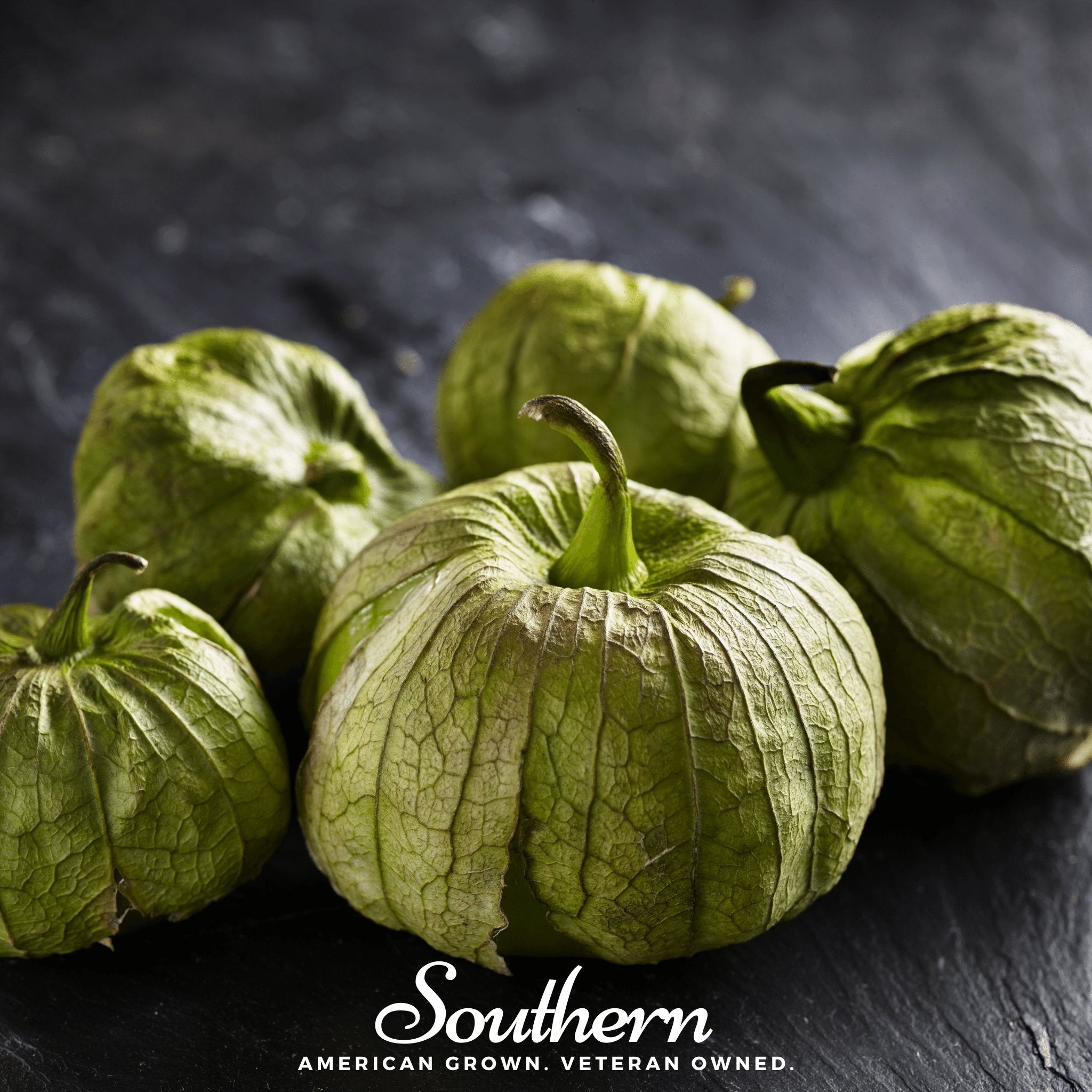 Tomatillo, Verde Rio Grande (Physalis ixocarpa) - 50 Seeds seed packet from Seed Therapy – American - grown, heirloom seeds