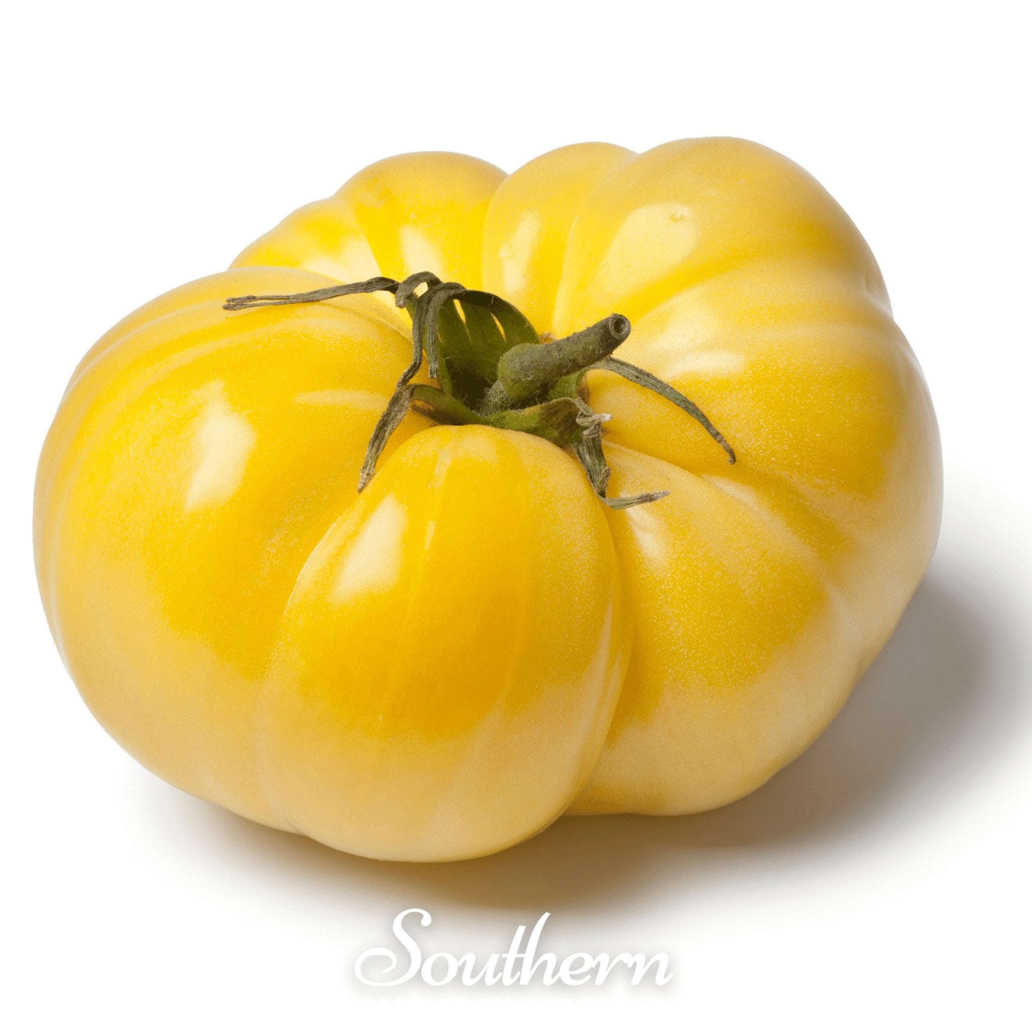 Tomato, Brandywine Yellow (Solanum lycopersicum) - 50 Seeds seed packet from Seed Therapy – American - grown, heirloom seeds