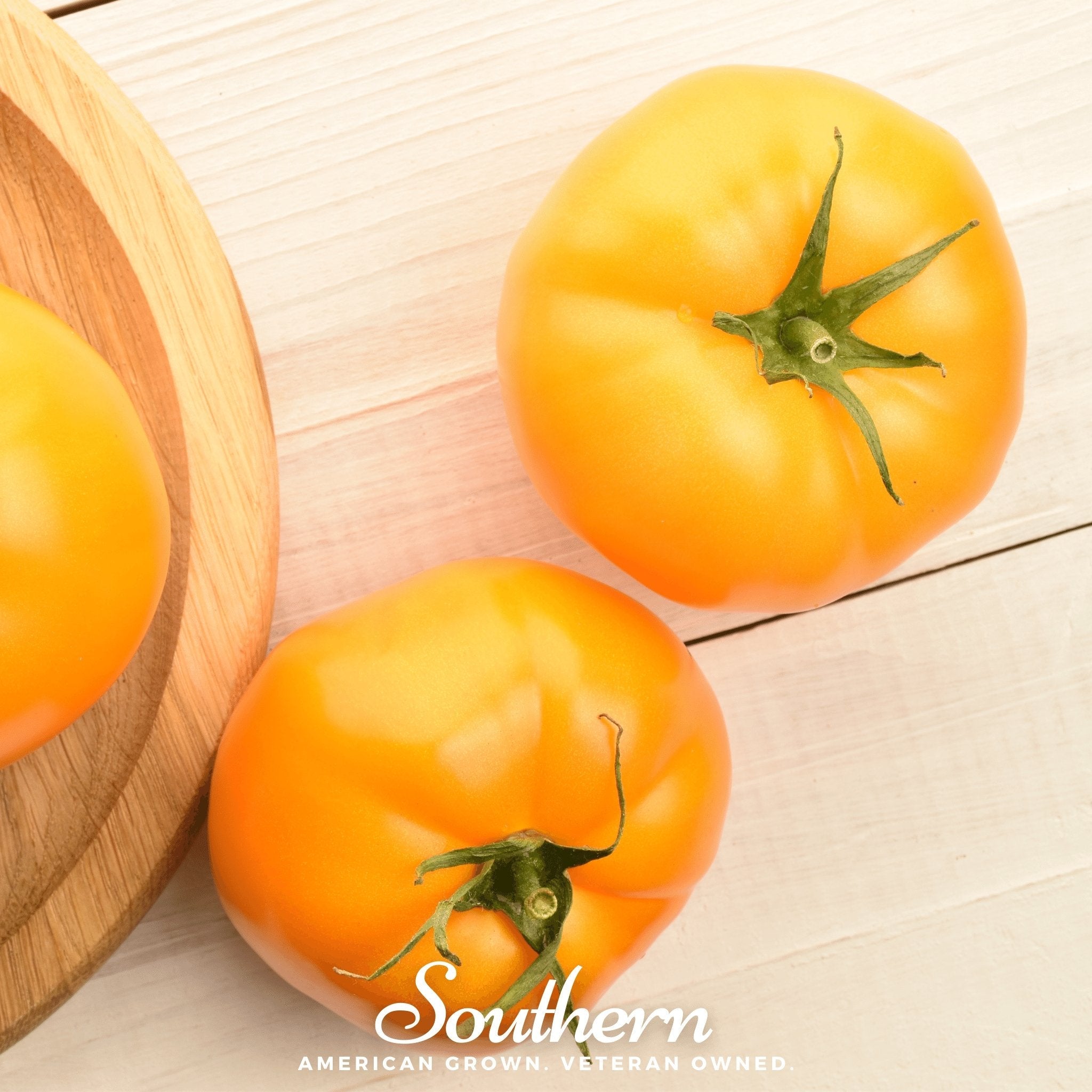 Tomato, Brandywine Yellow (Solanum lycopersicum) - 50 Seeds seed packet from Seed Therapy – American - grown, heirloom seeds