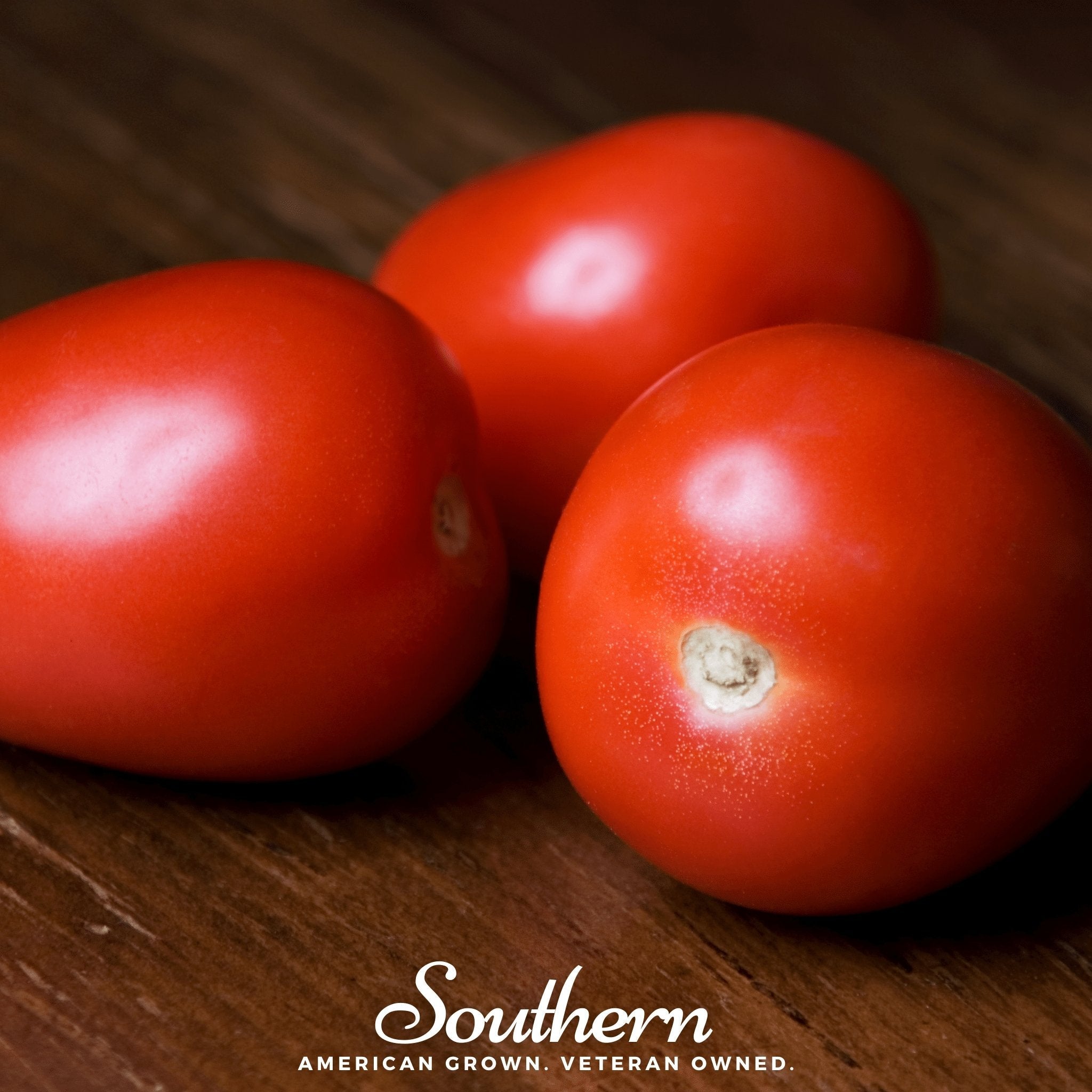 Tomato, Roma VF (Solanum lycopersicum) - 50 Seeds seed packet from Seed Therapy – American - grown, heirloom seeds
