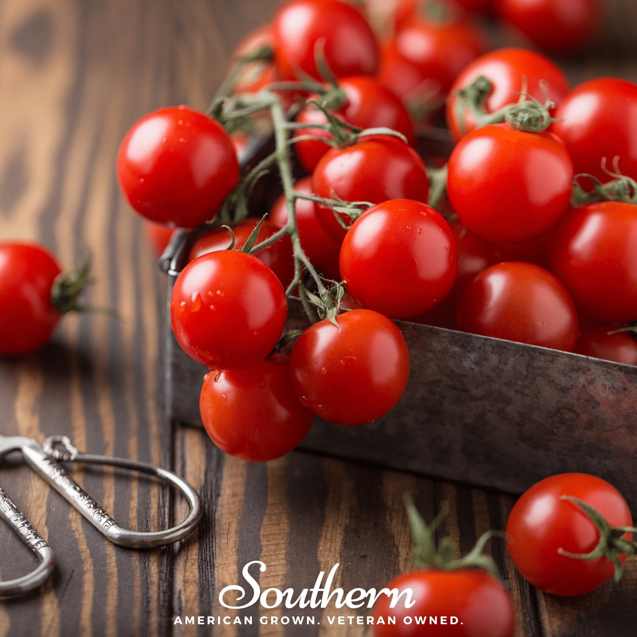Tomato, Small Red Cherry (Lycopersicon esculemtum) - 100 Seeds | Seed Therapy – Heirloom Garden Seeds