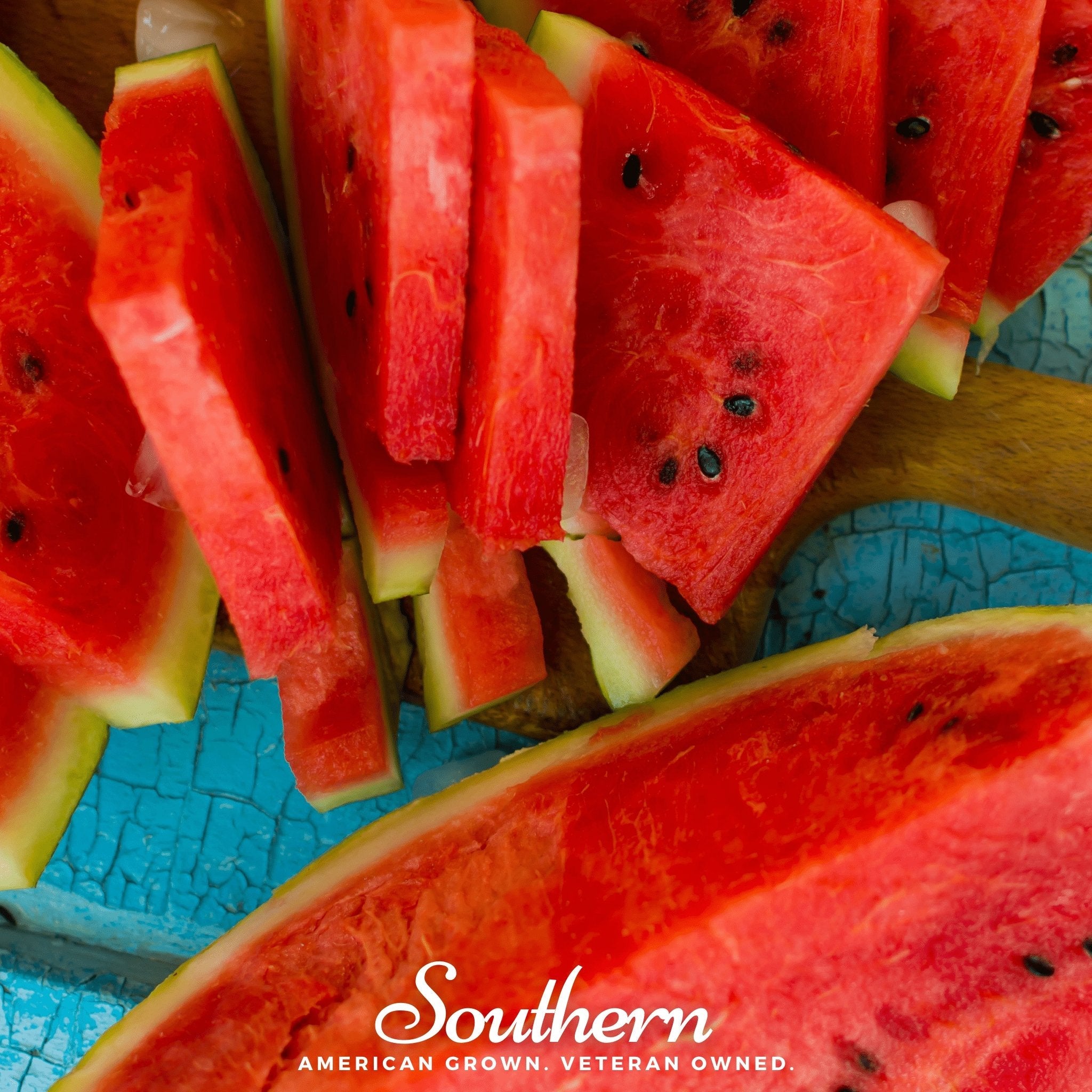 Watermelon, All Sweet (Citrullus lanatus) - 25 Seeds seed packet from Seed Therapy – American - grown, heirloom seeds