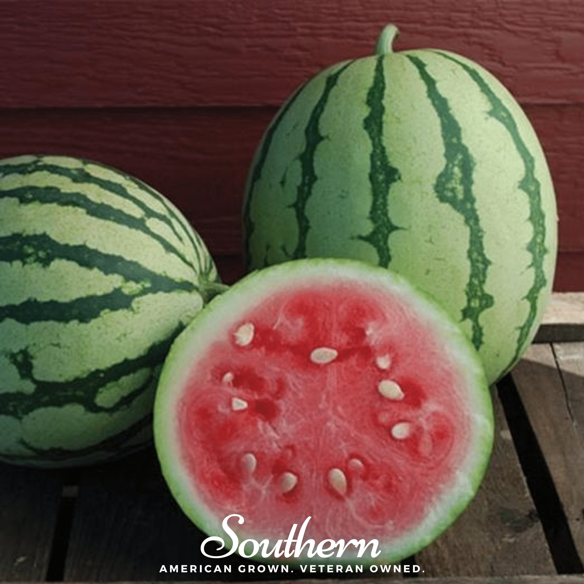 Watermelon, Dixie Queen (Citrullus lanatus) - 25 Seeds seed packet from Seed Therapy – American - grown, heirloom seeds