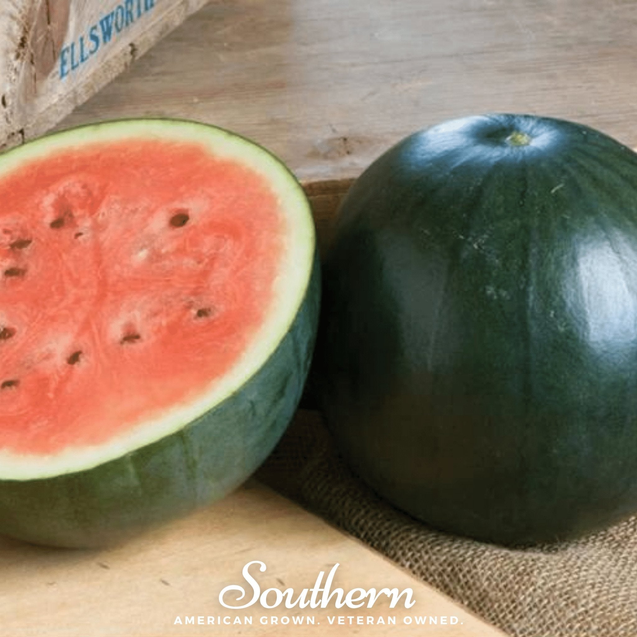 Watermelon, Sugar Baby (Citrullus lanatus) - 25 Seeds seed packet from Seed Therapy – American - grown, heirloom seeds