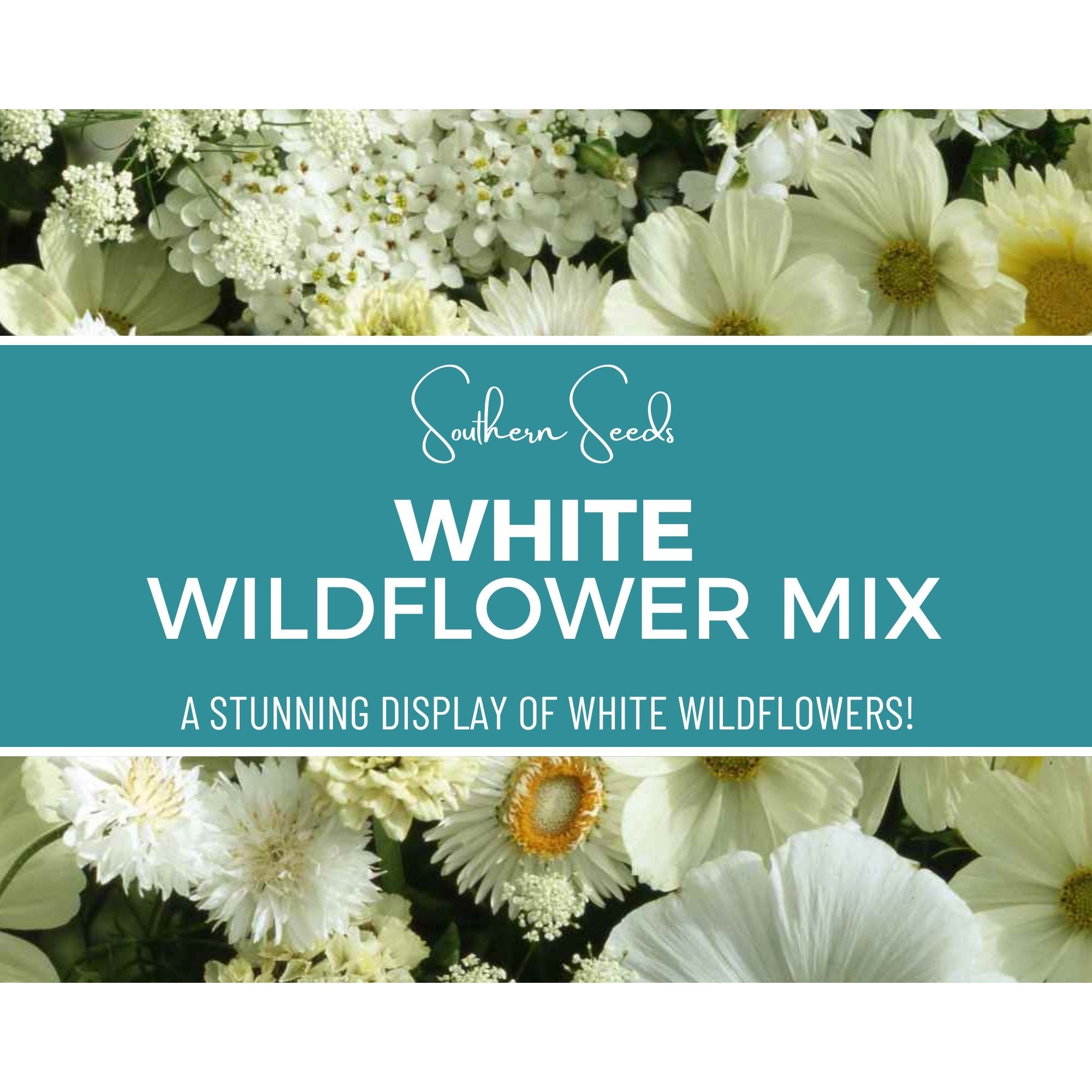 White Wildflower Seed Mix, White seeds - Elegant White Blooms - 100 Seeds seed packet from Seed Therapy – American - grown, heirloom seeds