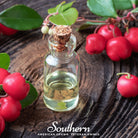 Wintergreen - Teaberry (Gaultheria procumbens) - 20 Seeds seed packet from Seed Therapy – American - grown, heirloom seeds