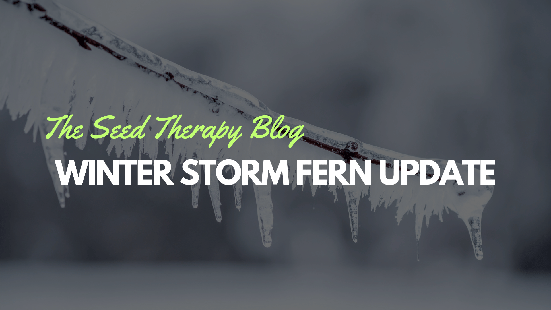 Winter Storm Fern Status