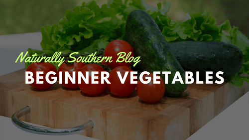 Green Thumb Beginnings: Top 10 Vegetables for First-Time Gardeners - Southern Seeds