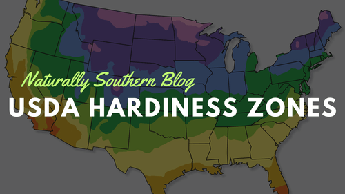 Navigating the Gardening World Through USDA Hardiness Zones - Southern Seeds