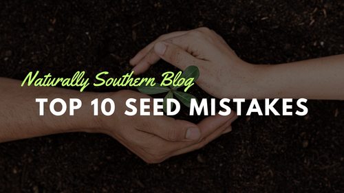 Seed Starting Fails: The Top 10 Mistakes - Southern Seeds