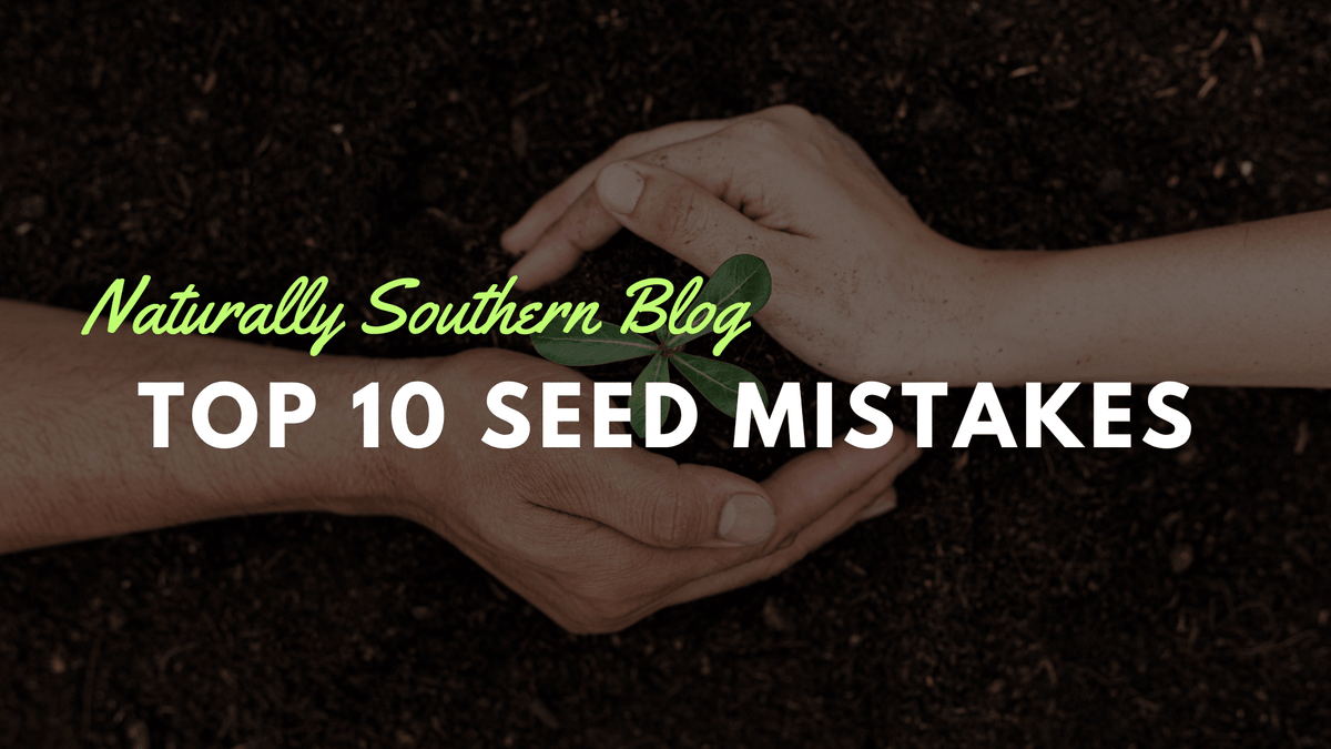 Seed Starting Fails: The Top 10 Mistakes - Southern Seeds
