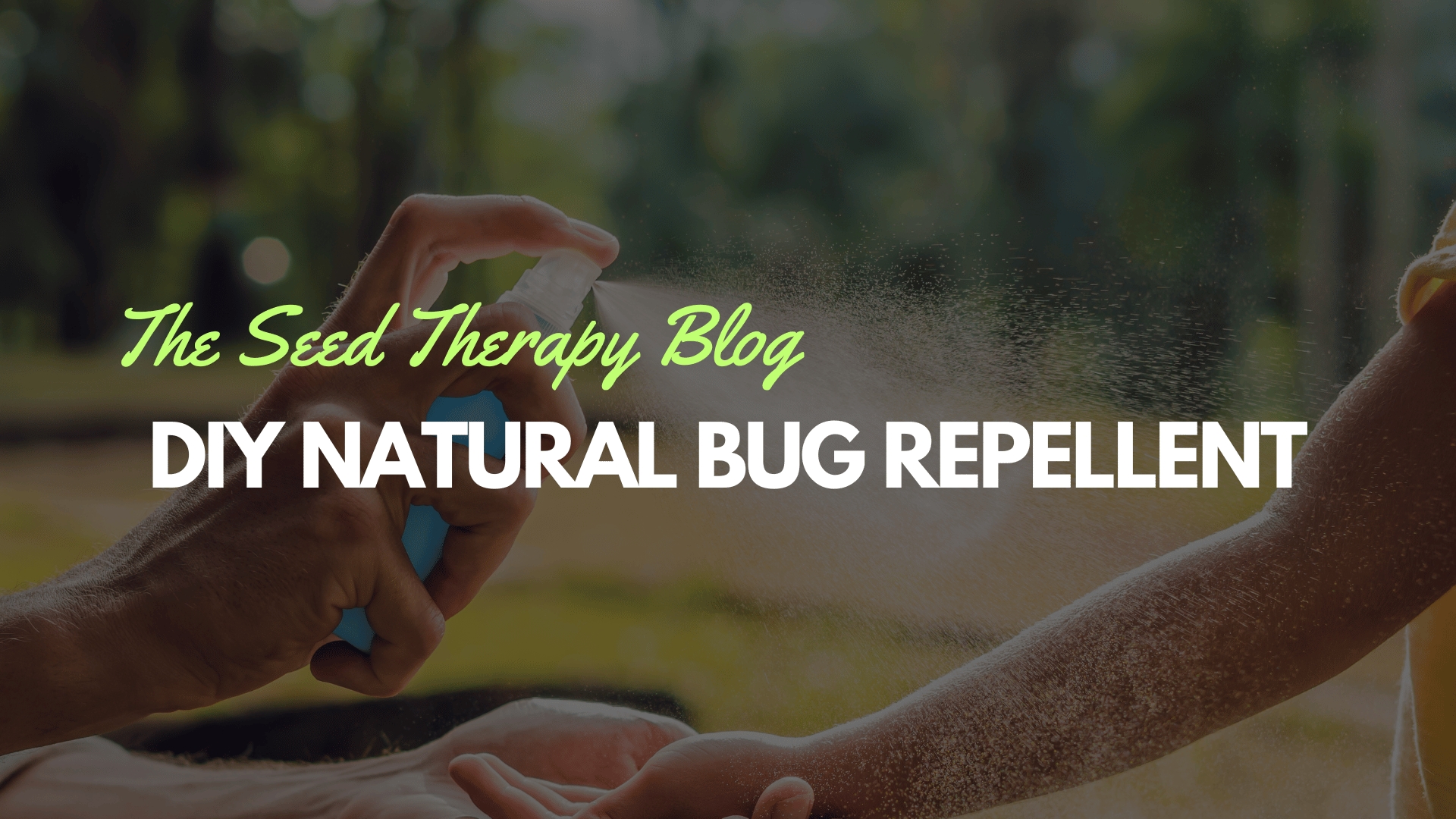 Summer's Secret Weapon: Homemade Lemon Balm Bug Spray - Southern Seeds