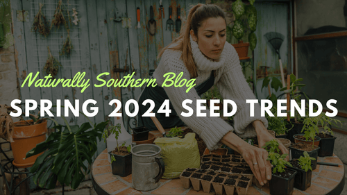 Top 10 Most Popular Seeds for Spring 2024: Gardeners' Favorites Revealed - Southern Seeds