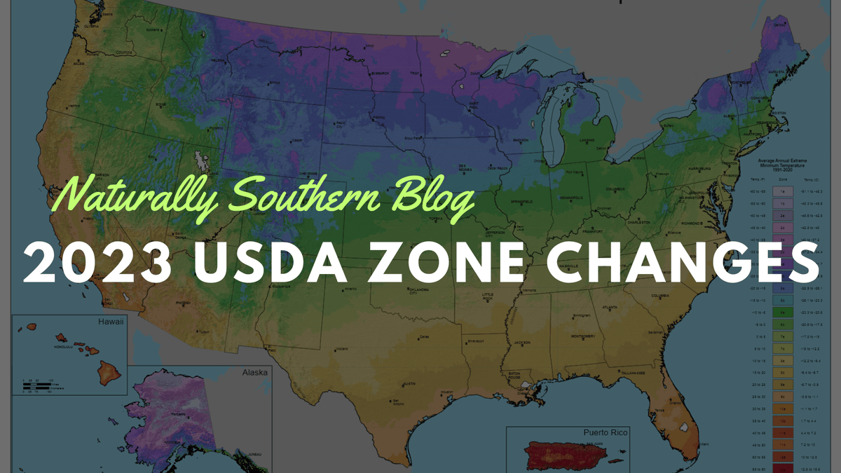 Basic Zone Map Understanding the Updated 2023 USDA Hardiness Zone Map – Southern Seeds