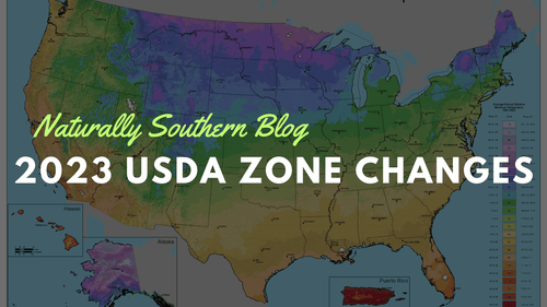 Understanding the Updated 2023 USDA Hardiness Zone Map - Southern Seeds