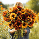 Autumn Beauty Sunflower – 25 Seeds seed packet from Seed Therapy – American - grown, heirloom seeds