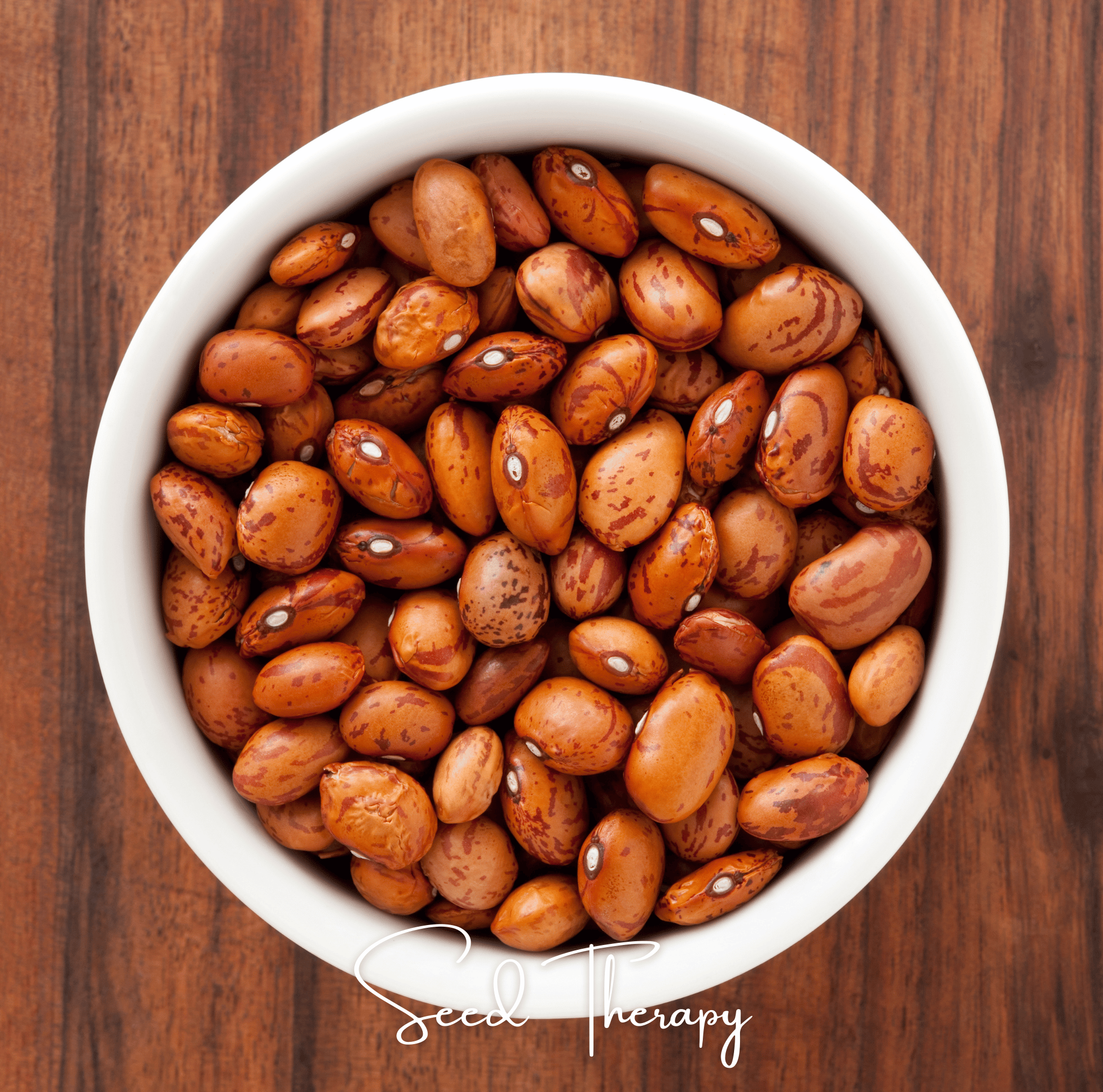 Bean, Pinto (Phaseolus vulgaris) - 20 Seeds seed packet from Seed Therapy – American - grown, heirloom seeds