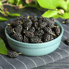 Black Mulberry – 50 Seeds seed packet from Seed Therapy – American - grown, heirloom seeds