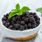 California Blackberry - 30 Seeds seed packet from Seed Therapy – American - grown, heirloom seeds