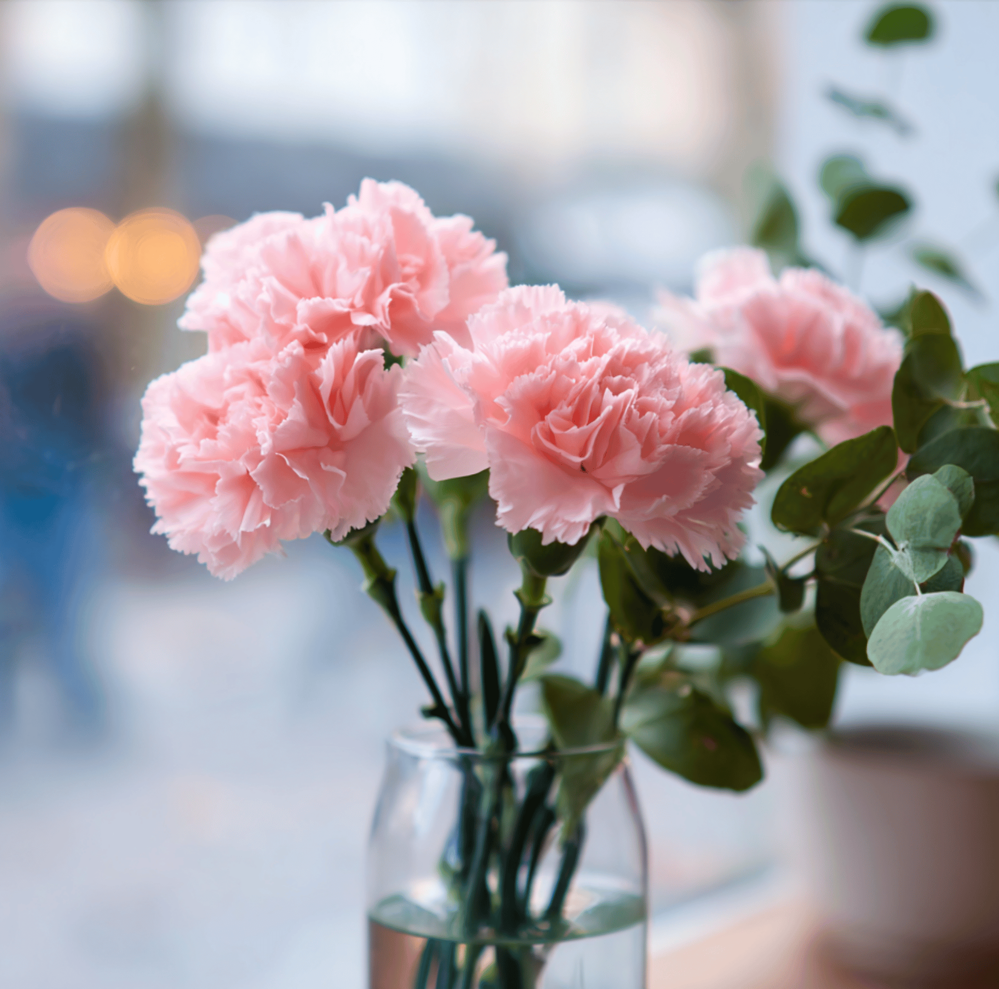 Carnation, La France (Dianthus caryophyllus) - 50 Seeds seed packet from Seed Therapy – American - grown, heirloom seeds