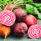 Chioggia Beet – 100 Seeds seed packet from Seed Therapy – American - grown, heirloom seeds