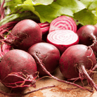 Chioggia Beet – 100 Seeds seed packet from Seed Therapy – American - grown, heirloom seeds