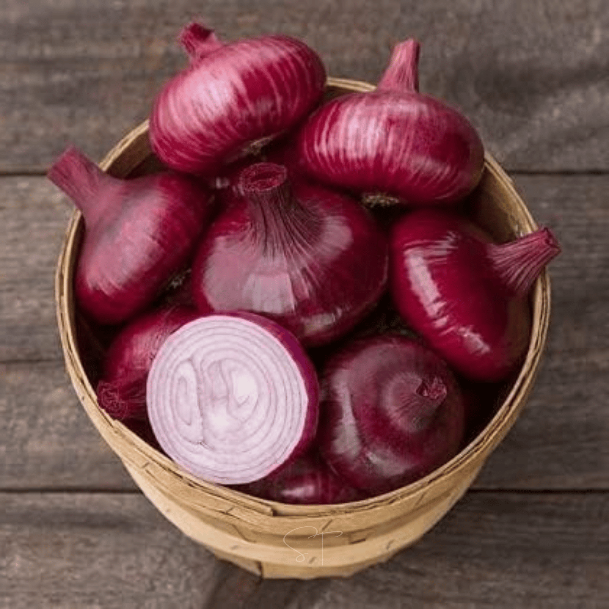 Cipollini Red Onion – 100 Seeds seed packet from Seed Therapy – American - grown, heirloom seeds