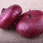 Cipollini Red Onion – 100 Seeds seed packet from Seed Therapy – American - grown, heirloom seeds