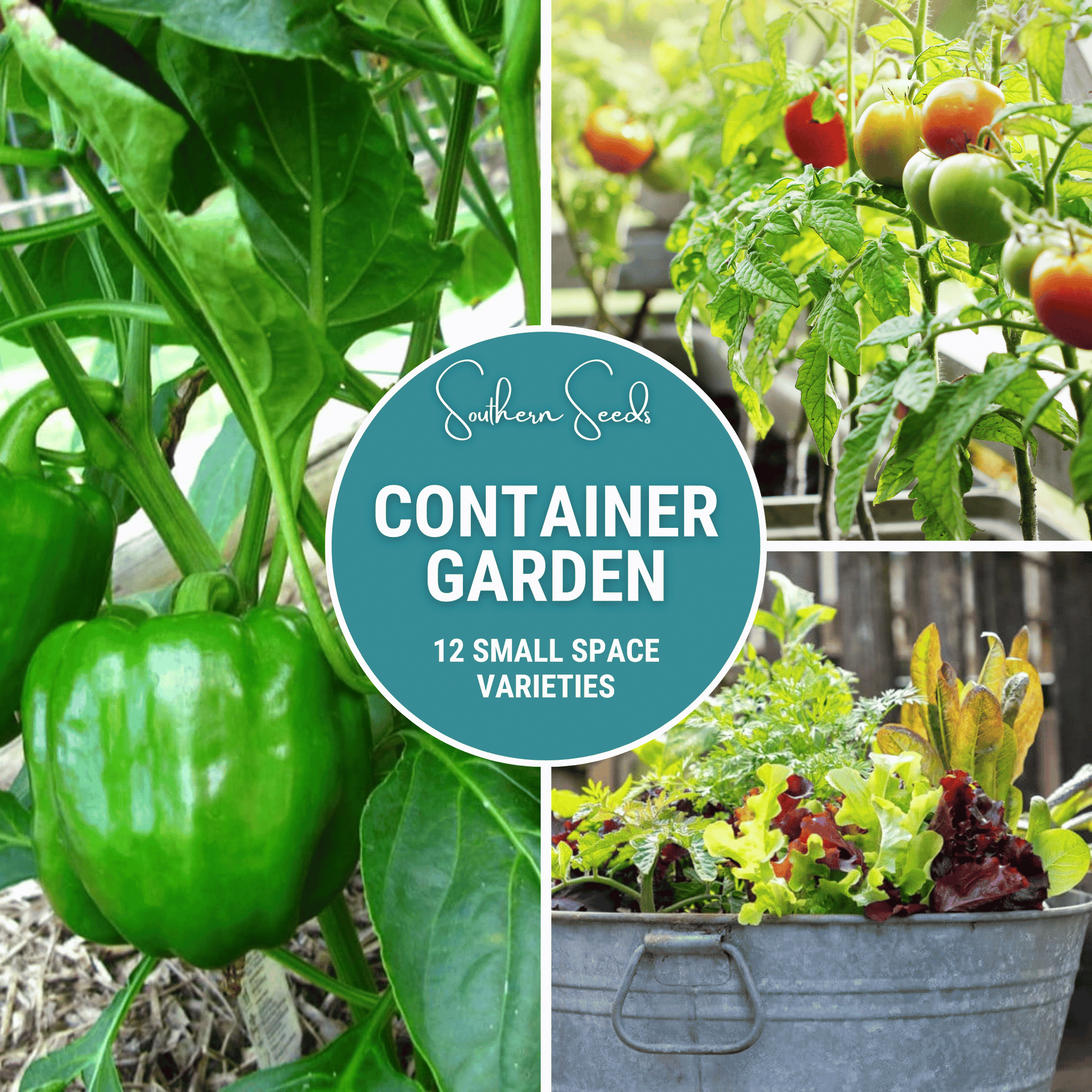 container garden from seeds Container Garden Seed Collection – 12 Varieties