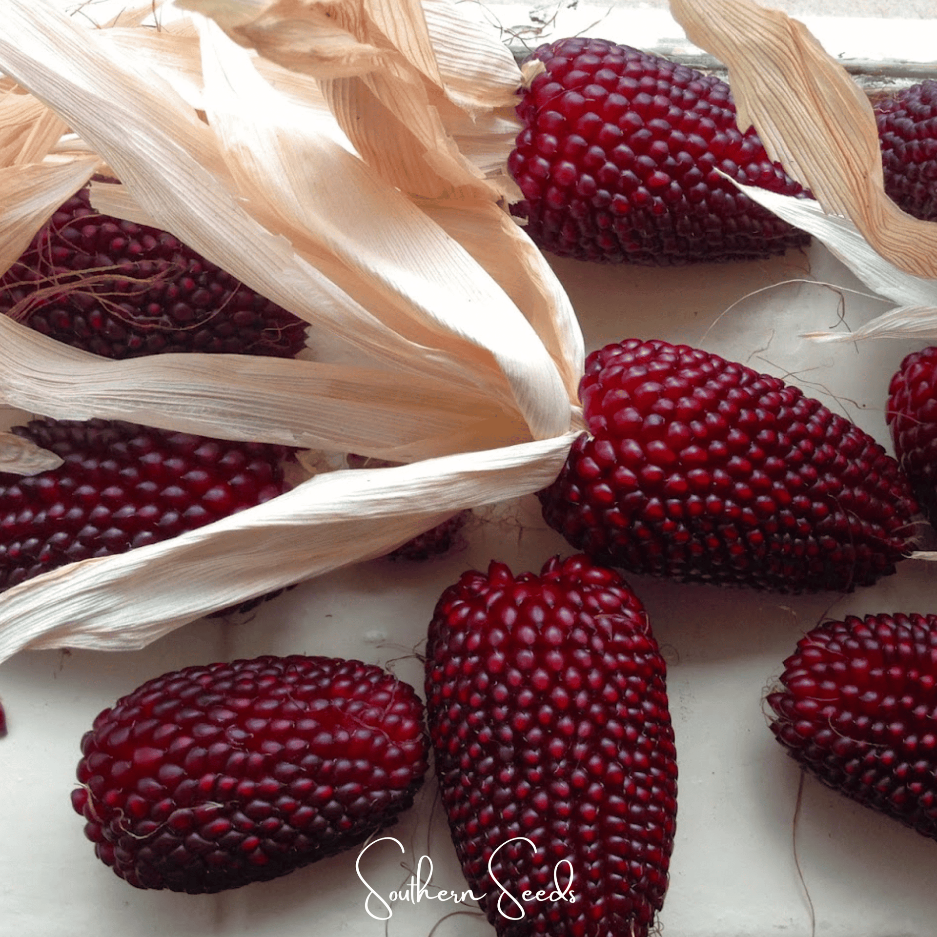 number of seeds in strawberry Strawberry Corn – 30 Seeds