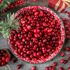 Cranberry, American – 50 Seeds seed packet from Seed Therapy – American - grown, heirloom seeds