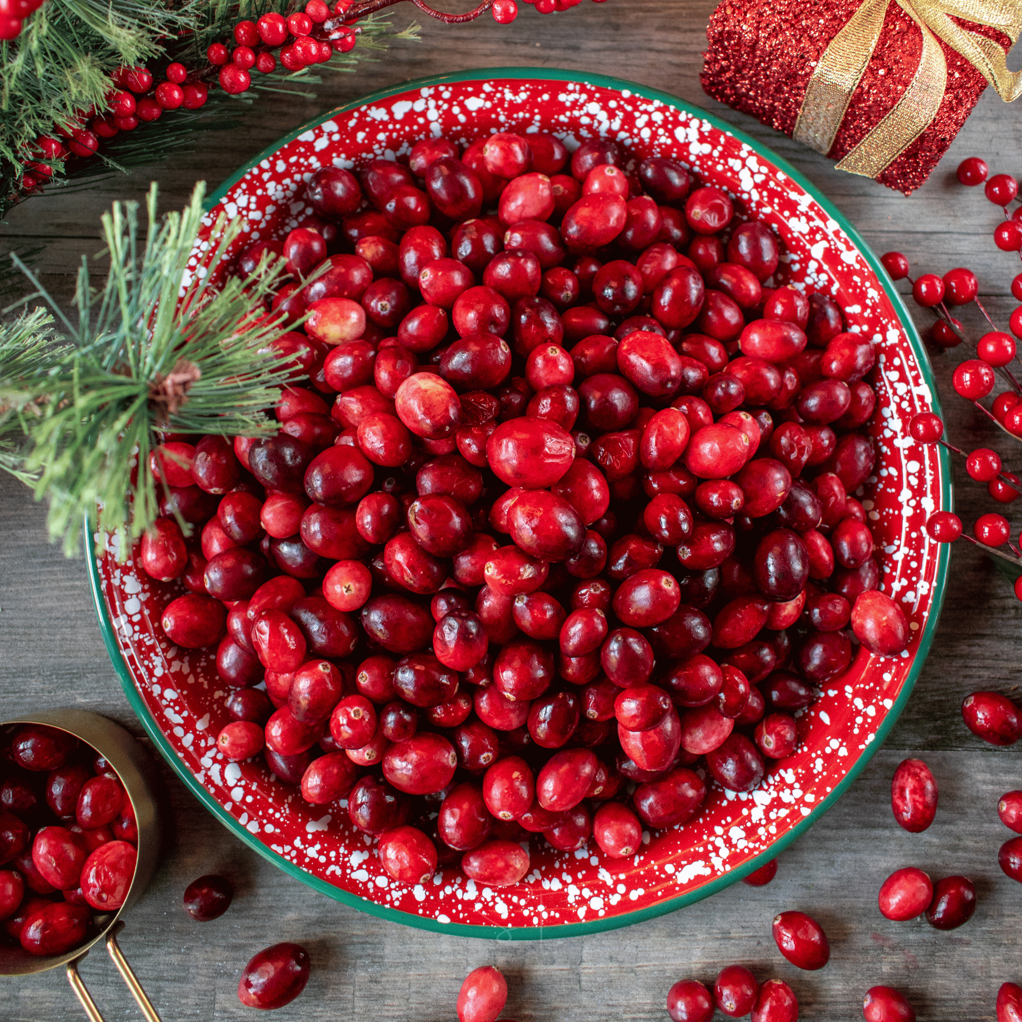 Cranberry, American – 50 Seeds seed packet from Seed Therapy – American - grown, heirloom seeds