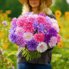 Crego Giant Aster Mix – 50 Seeds seed packet from Seed Therapy – American - grown, heirloom seeds