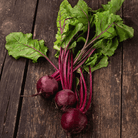 Detroit Dark Red Beet – 200 Seeds seed packet from Seed Therapy – American - grown, heirloom seeds
