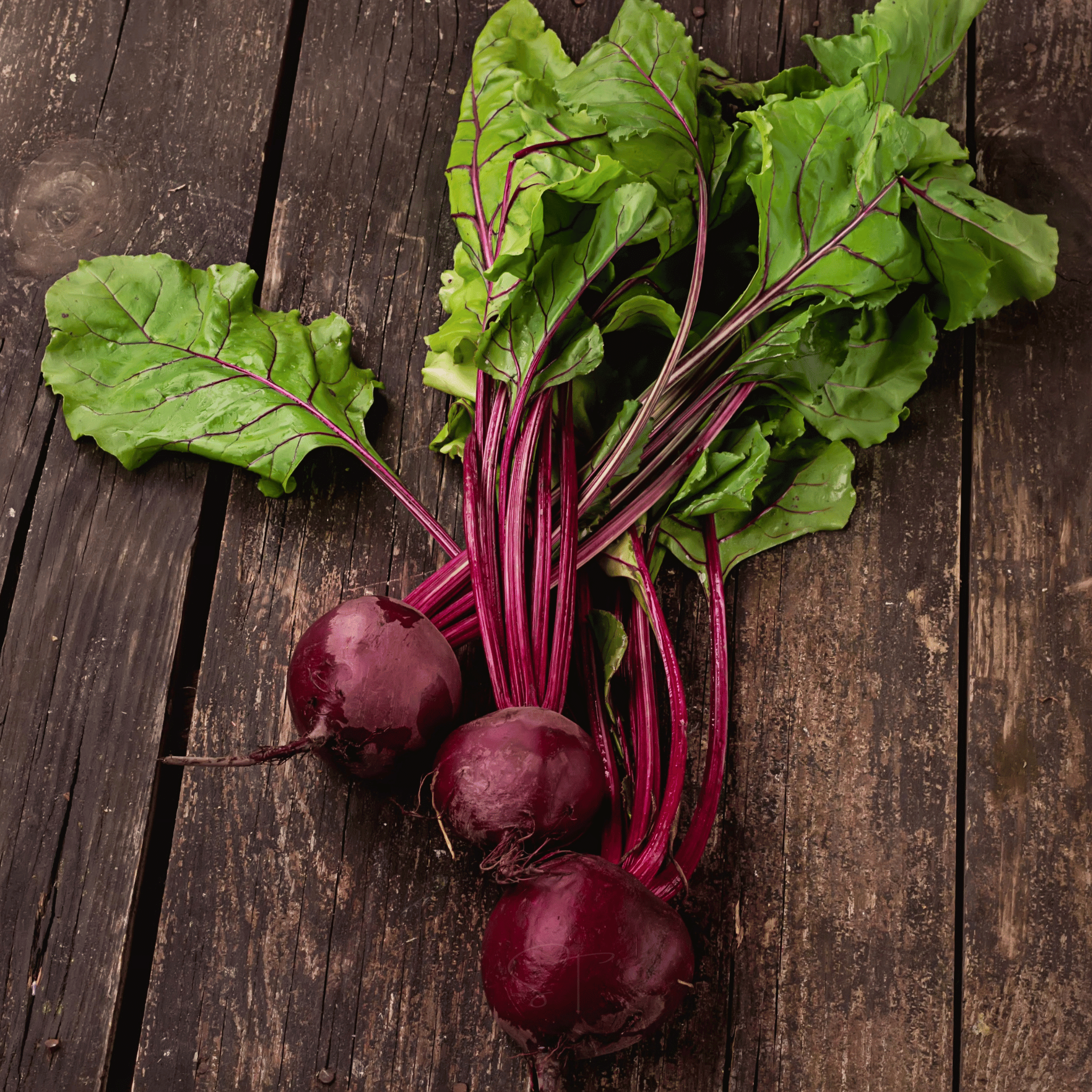 Detroit Dark Red Beet – 200 Seeds seed packet from Seed Therapy – American - grown, heirloom seeds