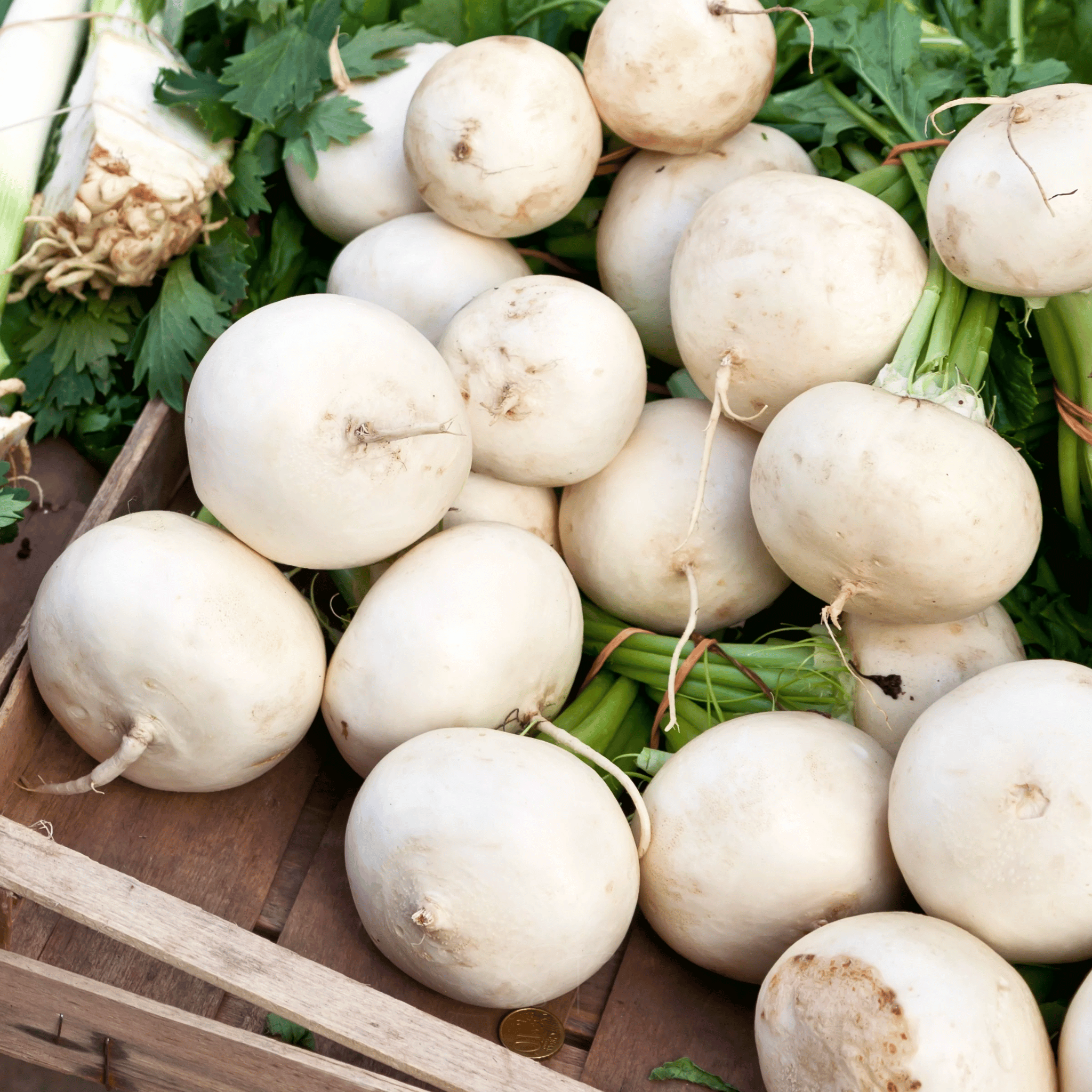 Detroit White Beet – 200 Seeds seed packet from Seed Therapy – American - grown, heirloom seeds