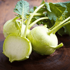 Early White Vienna Kohlrabi – 100 Seeds seed packet from Seed Therapy – American - grown, heirloom seeds