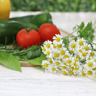 Feverfew – 100 Seeds seed packet from Seed Therapy – American - grown, heirloom seeds