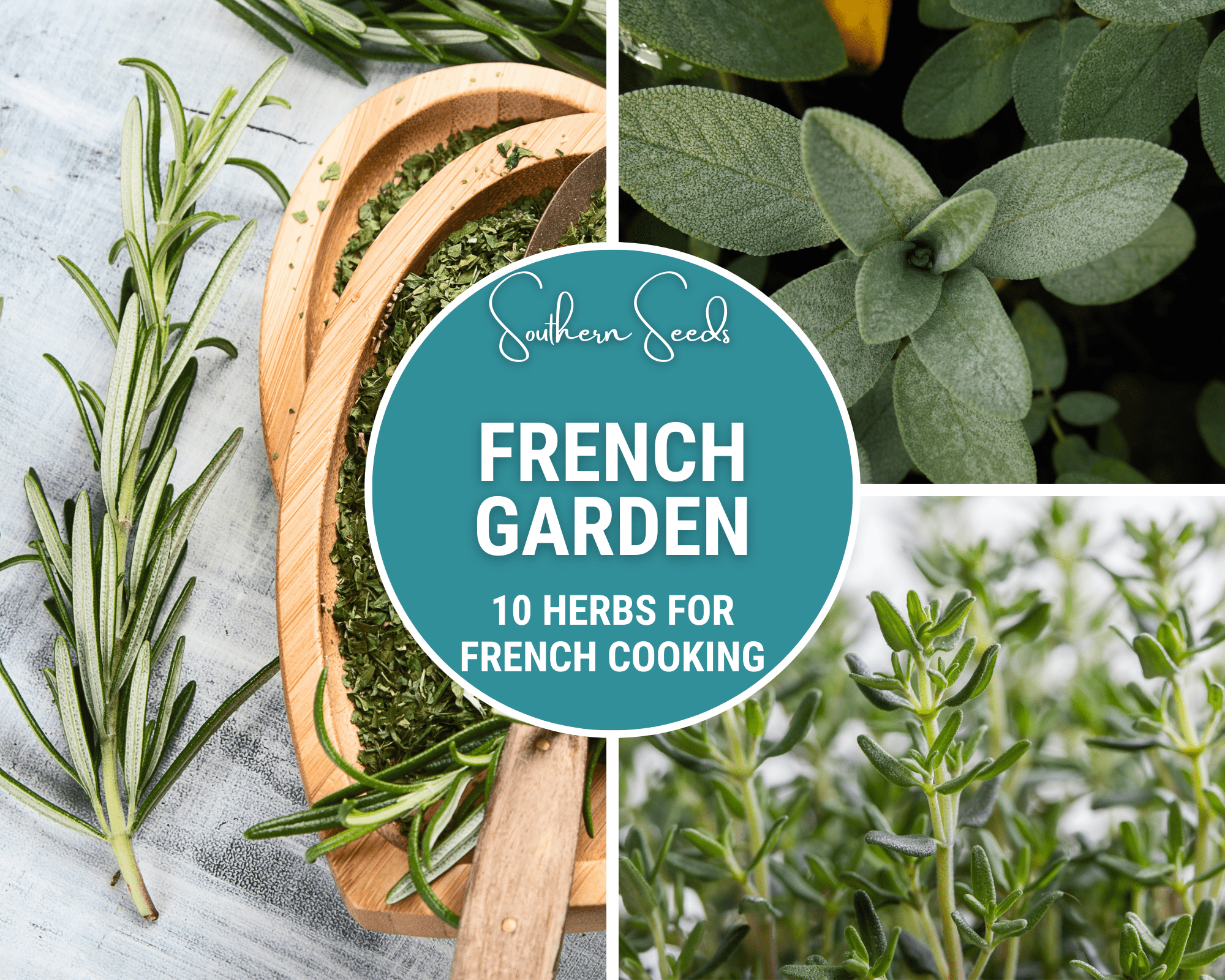 French Garden Seed Collection - 10 Varieties seed packet from Seed Therapy – American - grown, heirloom seeds