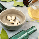 Gingko Biloba Tree – 5 Seeds seed packet from Seed Therapy – American - grown, heirloom seeds