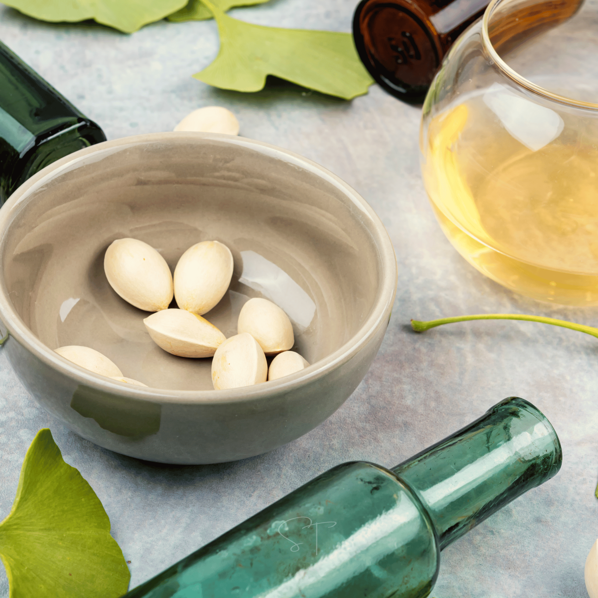 Gingko Biloba Tree – 5 Seeds seed packet from Seed Therapy – American - grown, heirloom seeds