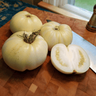 Great White Tomato – 30 Seeds seed packet from Seed Therapy – American - grown, heirloom seeds